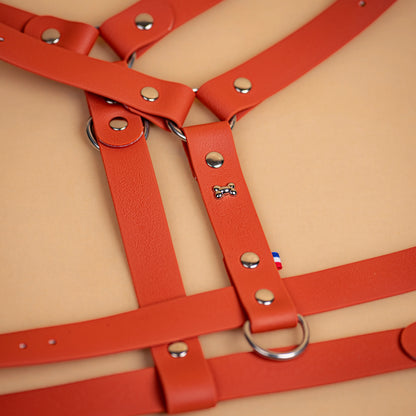 harnais en sangle enduite similaire au biothane respectueux de la morphologie du chien couleur orange terracotta zoom sur les détail bouclerie résistante en acier inoxydable et made in France