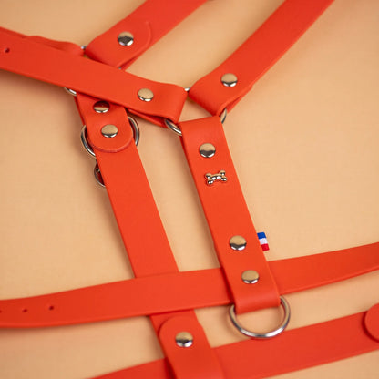 harnais en sangle enduite similaire au biothane respectueux de la morphologie du chien couleur orange zoom sur les détail bouclerie résistante en acier inoxydable et made in France