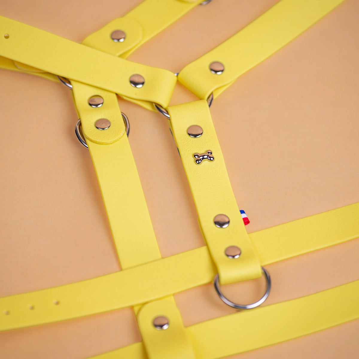 harnais en sangle enduite similaire au biothane respectueux de la morphologie du chien couleur jaune pastel zoom sur les détail bouclerie résistante en acier inoxydable et made in France