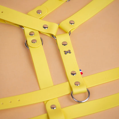 harnais en sangle enduite similaire au biothane respectueux de la morphologie du chien couleur jaune pastel zoom sur les détail bouclerie résistante en acier inoxydable et made in France
