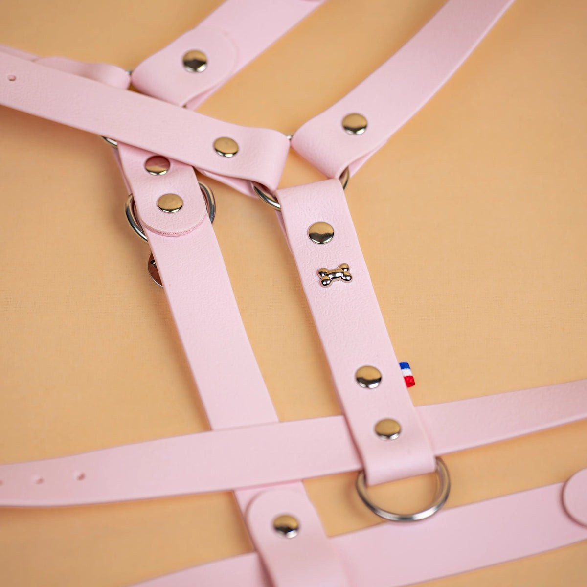 harnais en sangle enduite similaire au biothane respectueux de la morphologie du chien couleur rose pastel zoom sur les détail bouclerie résistante en acier inoxydable et made in France