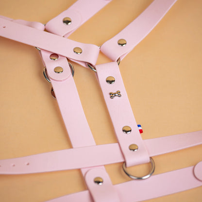 harnais en sangle enduite similaire au biothane respectueux de la morphologie du chien couleur rose pastel zoom sur les détail bouclerie résistante en acier inoxydable et made in France