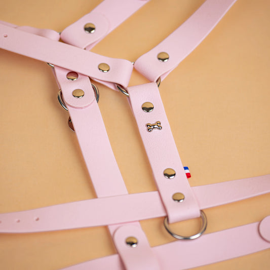 harnais en sangle enduite similaire au biothane respectueux de la morphologie du chien couleur rose pastel zoom sur les détail bouclerie résistante en acier inoxydable et made in France