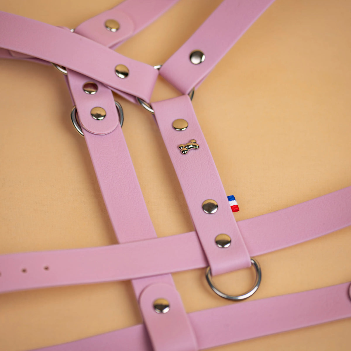 harnais en sangle enduite similaire au biothane respectueux de la morphologie du chien couleur rose lavande zoom sur les détail bouclerie résistante en acier inoxydable et made in France