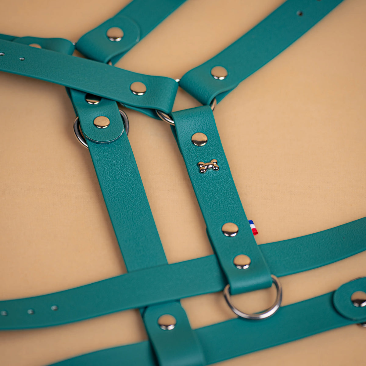harnais en sangle enduite similaire au biothane respectueux de la morphologie du chien couleur vert chasseur zoom sur les détail bouclerie résistante en acier inoxydable et made in France