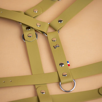 harnais en sangle enduite similaire au biothane respectueux de la morphologie du chien couleur vert kaki clair zoom sur les détail bouclerie résistante en acier inoxydable et made in France