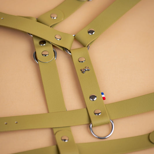 harnais en sangle enduite similaire au biothane respectueux de la morphologie du chien couleur vert kaki clair zoom sur les détail bouclerie résistante en acier inoxydable et made in France