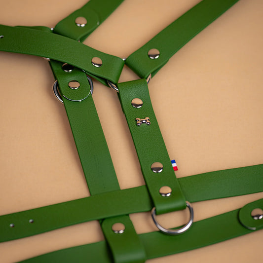 harnais en sangle enduite similaire au biothane respectueux de la morphologie du chien couleur vert olive zoom sur les détail bouclerie résistante en acier inoxydable et made in France