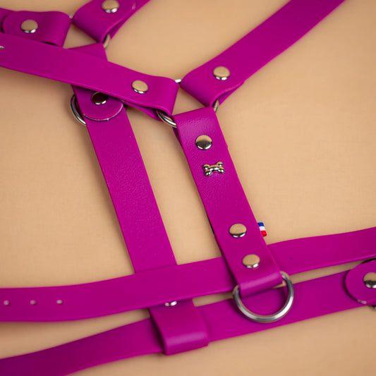 harnais en sangle enduite similaire au biothane respectueux de la morphologie du chien couleur violet lilas zoom sur les détail bouclerie résistante en acier inoxydable et made in France