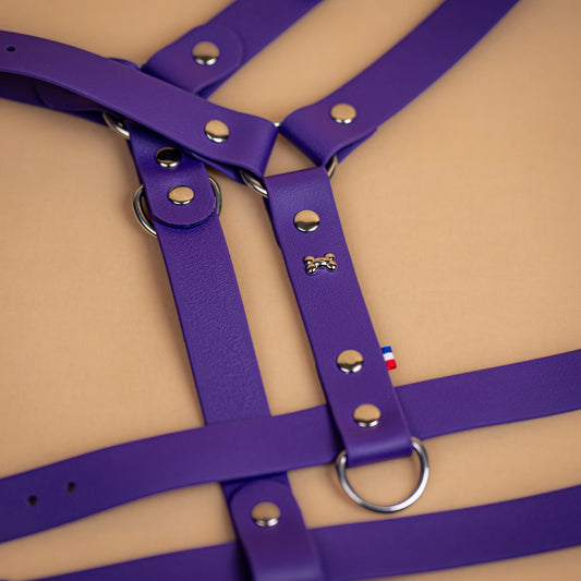 harnais en sangle enduite similaire au biothane respectueux de la morphologie du chien couleur violet pourpre zoom sur les détail bouclerie résistante en acier inoxydable et made in France