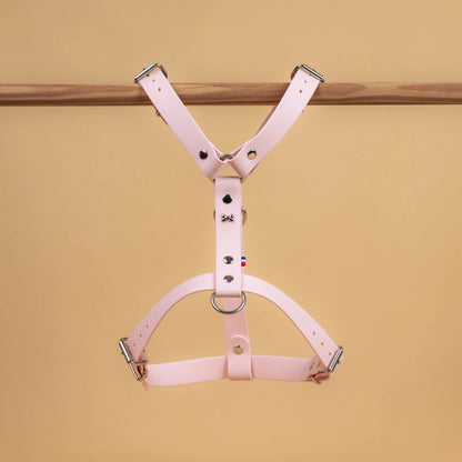 harnais vue global de face poser sur une barre matière sangle enduite étanche similaire au biothane rose pastel