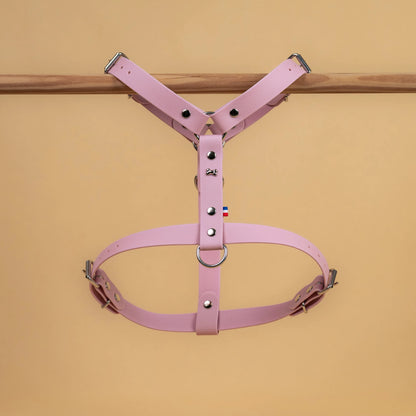 harnais vue global de face poser sur une barre matière sangle enduite étanche similaire au biothane rose lavande