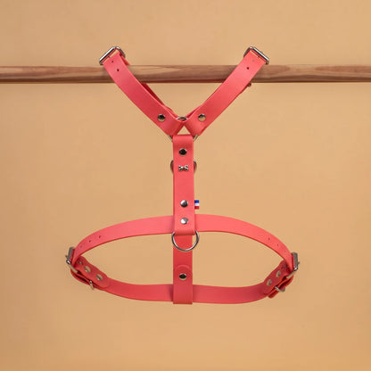 harnais vue global de face poser sur une barre matière sangle enduite étanche similaire au biothane rose
