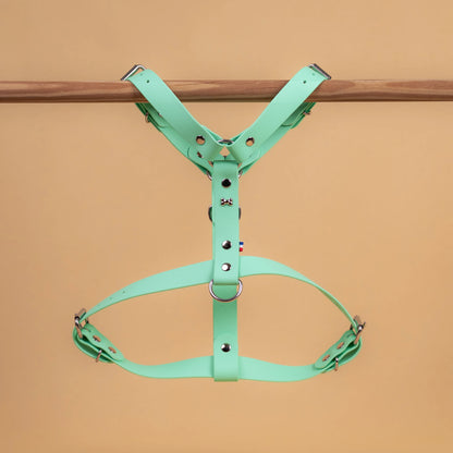 harnais vue global de face poser sur une barre matière sangle enduite étanche similaire au biothane vert caraïbe