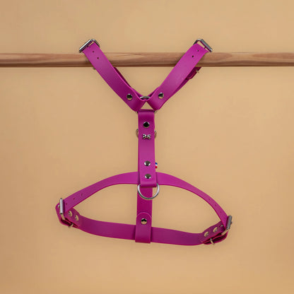 harnais vue global de face poser sur une barre matière sangle enduite étanche similaire au biothane violet lilas