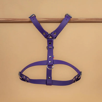 harnais vue global de face poser sur une barre matière sangle enduite étanche similaire au biothane violet pourpre