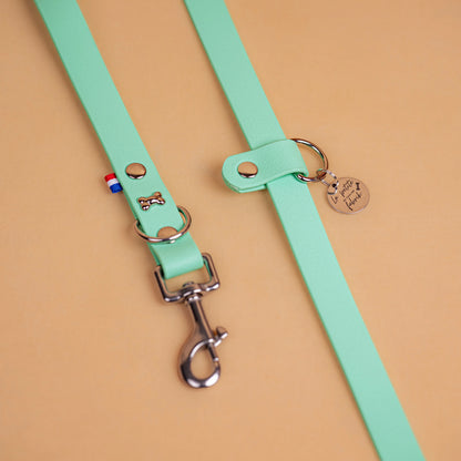 laisse multi positions en sangle enduite matière étanche similaire au biothane zoom sur les finitions en acier inoxydable couleur vert caraïbe