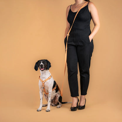 Harnais et laisse multi-positions beige en sangle enduite similaire au biothane portés en mode mains libres