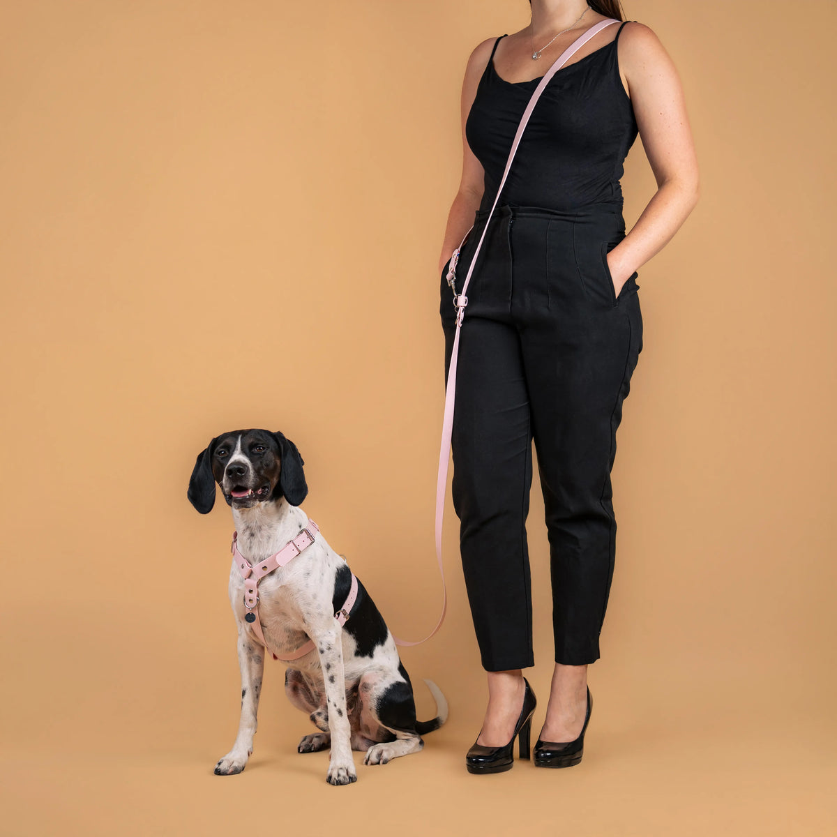 Harnais et laisse multi-positions pastel rose en sangle enduite similaire au biothane portés en mode mains libres