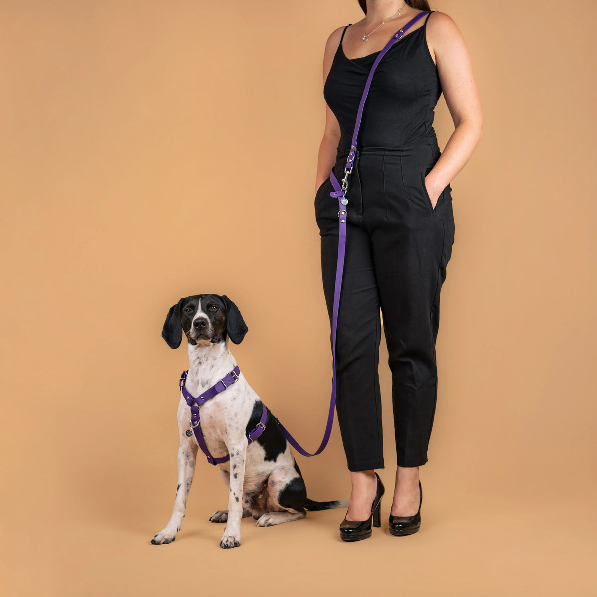 Harnais et laisse multi-positions violet pourpre olive en sangle enduite similaire au biothane portés en mode mains libres