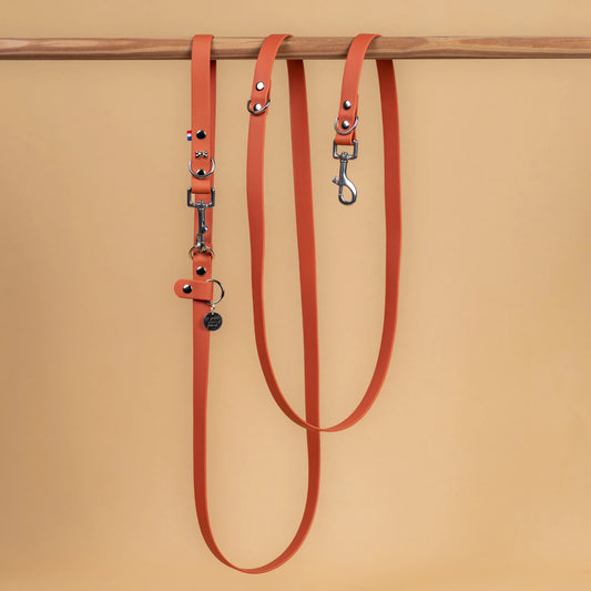 laisse multi position mains libre pour chien étanche en sangle enduite similaire au biothane vue globale orange terracotta