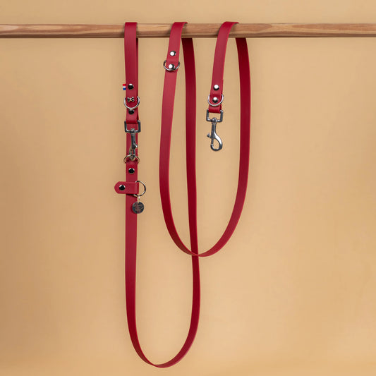 laisse multi position mains libre pour chien étanche en sangle enduite similaire au biothane vue globale rouge lie de vin 