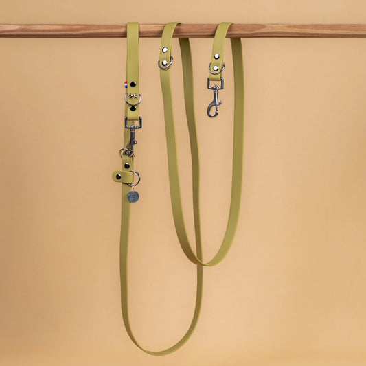 laisse multi position mains libre pour chien étanche en sangle enduite similaire au biothane vue globale vert kaki clair