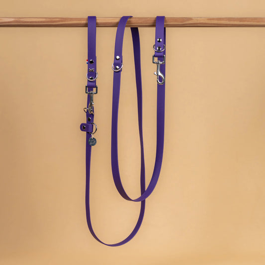 laisse multi position mains libre pour chien étanche en sangle enduite similaire au biothane vue globale violet pourpre