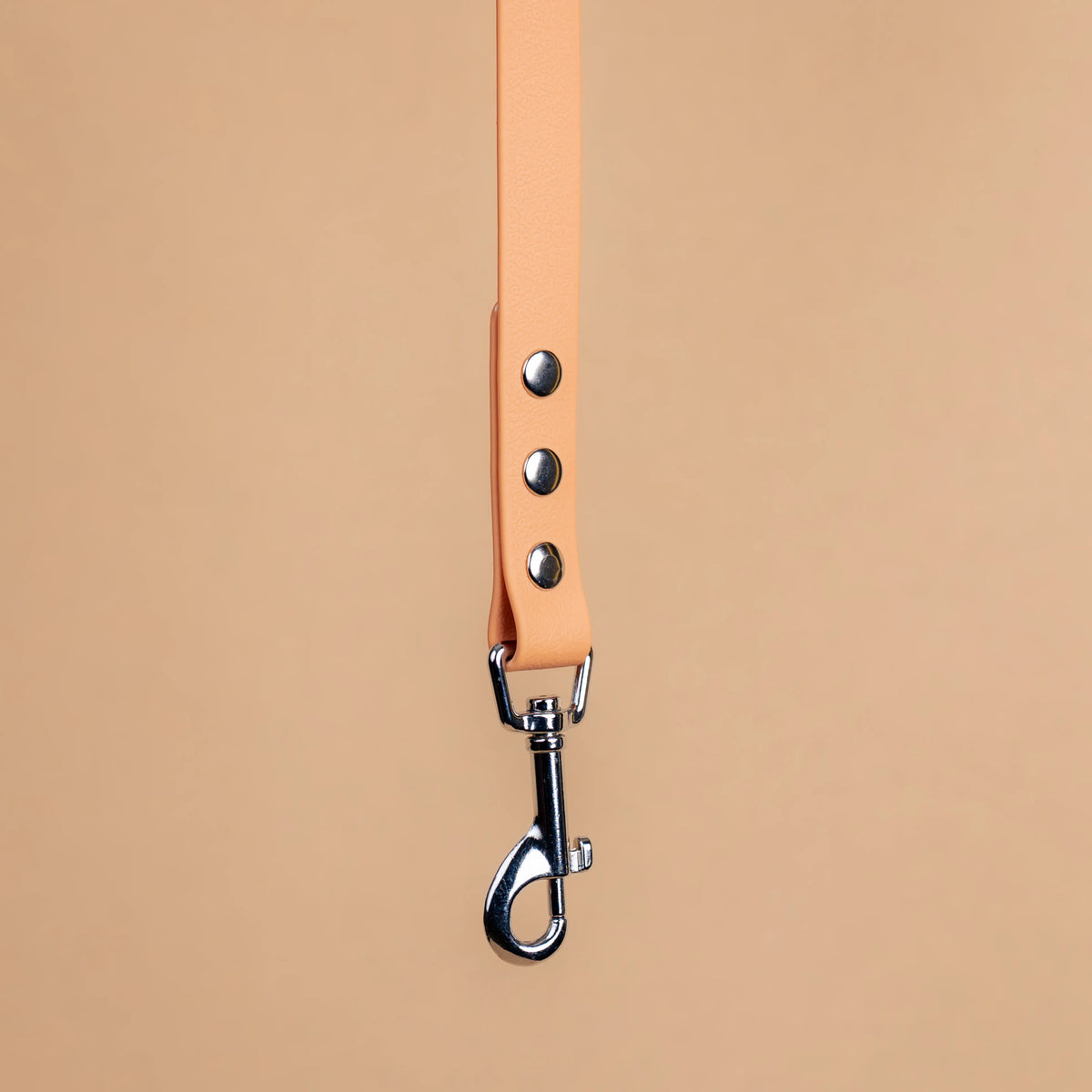 Zoom sur l'attache de la laisse simple pour chien en sangle enduite matière similaire au biothane beige