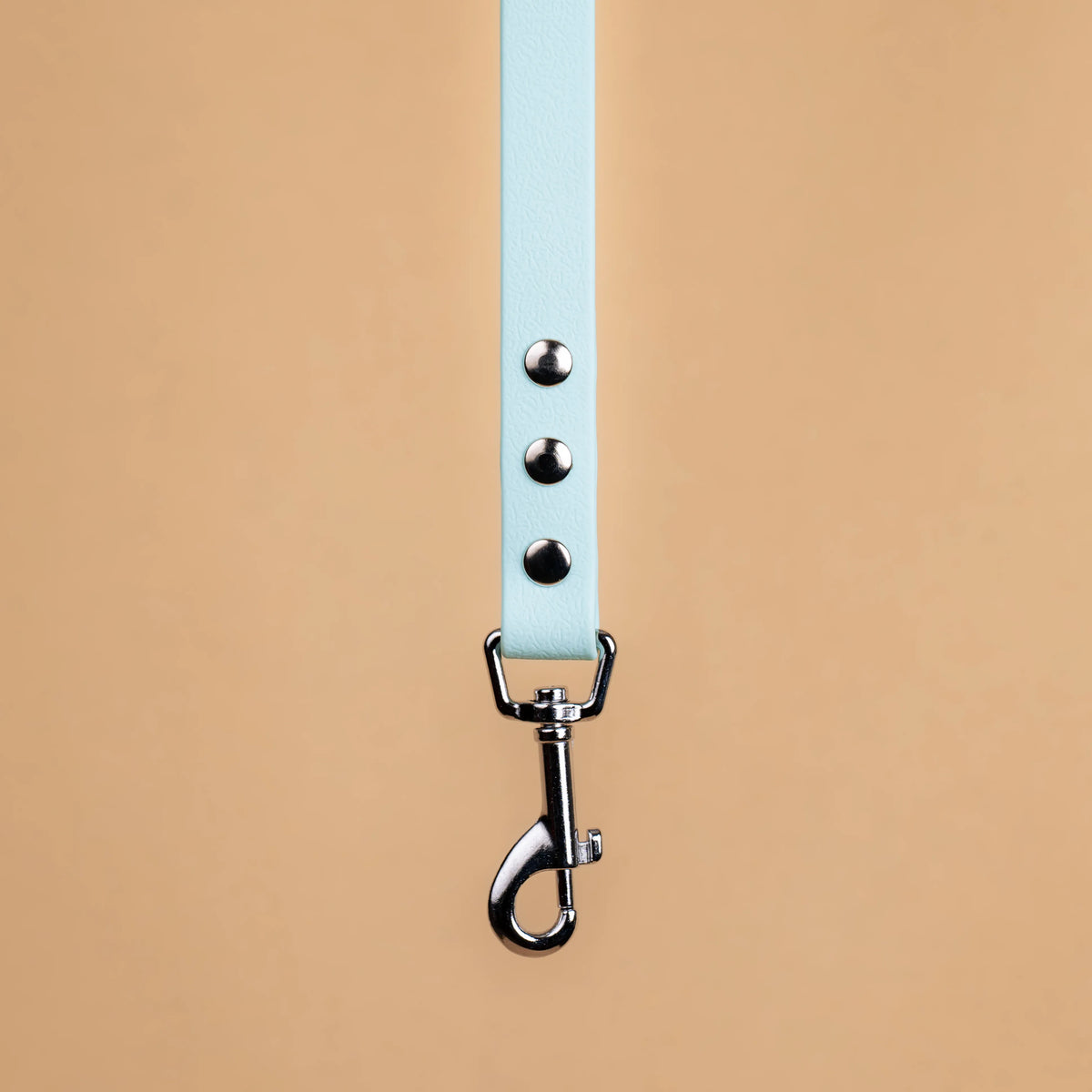 Zoom sur l'attache de la laisse simple pour chien en sangle enduite matière similaire au biothane pastel bleu