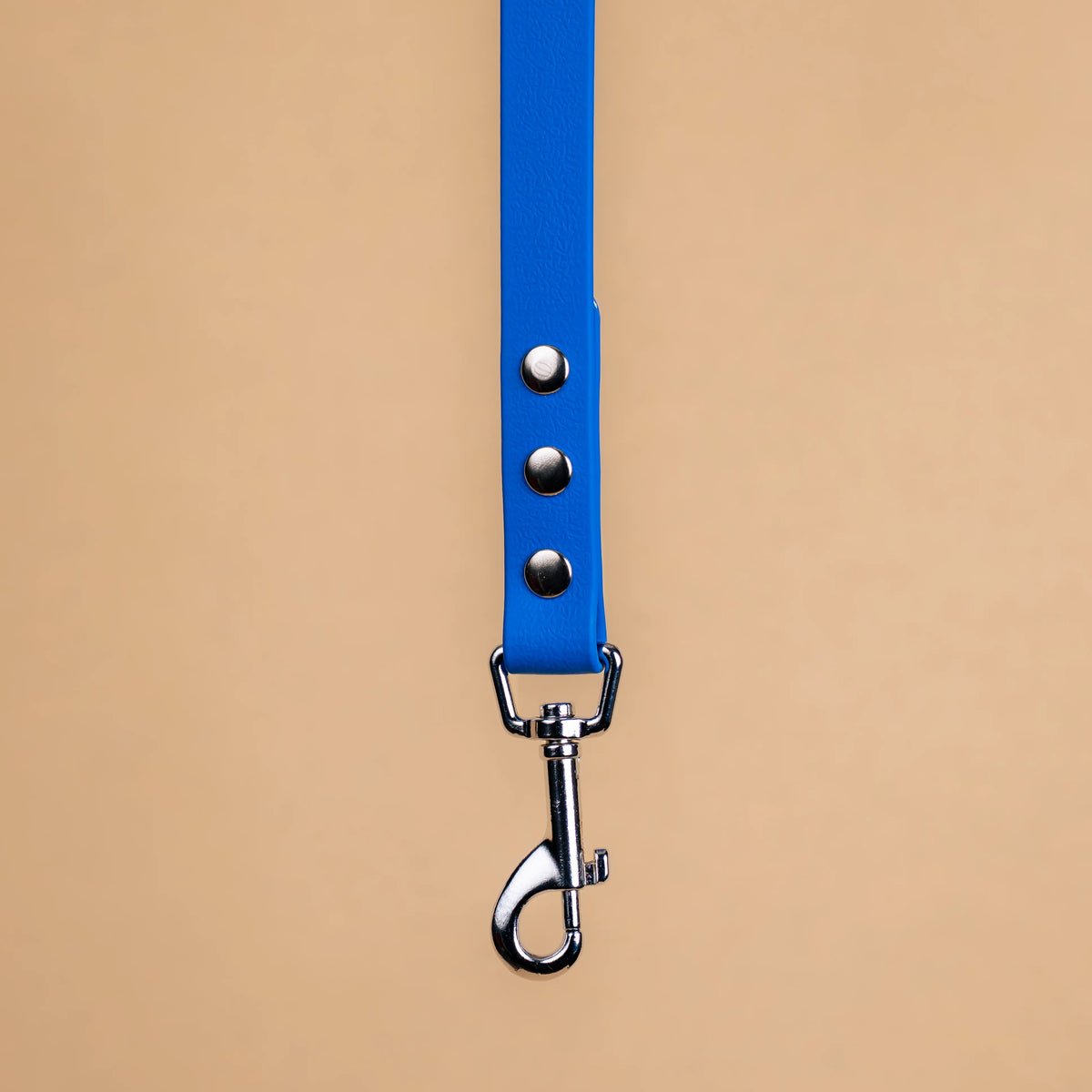 Zoom sur l'attache de la laisse simple pour chien en sangle enduite matière similaire au biothane bleu