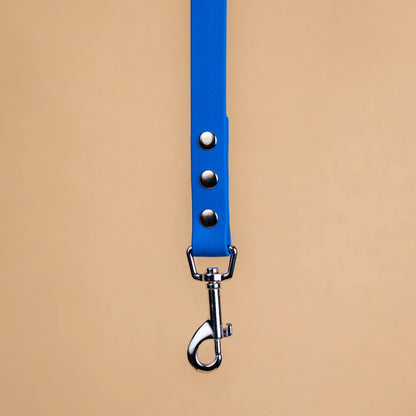 Zoom sur l'attache de la laisse simple pour chien en sangle enduite matière similaire au biothane bleu