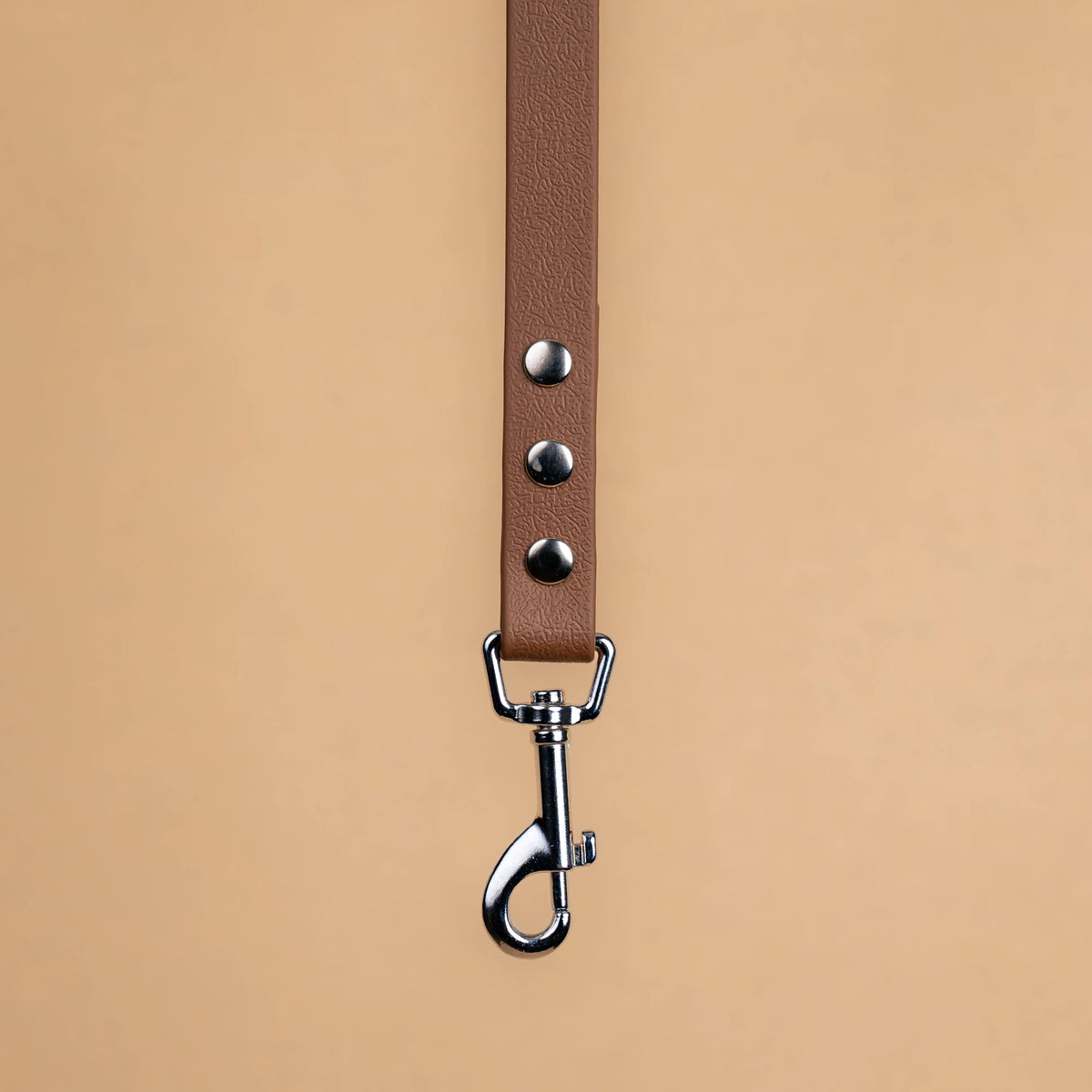 Zoom sur l'attache de la laisse simple pour chien en sangle enduite matière similaire au biothane brun