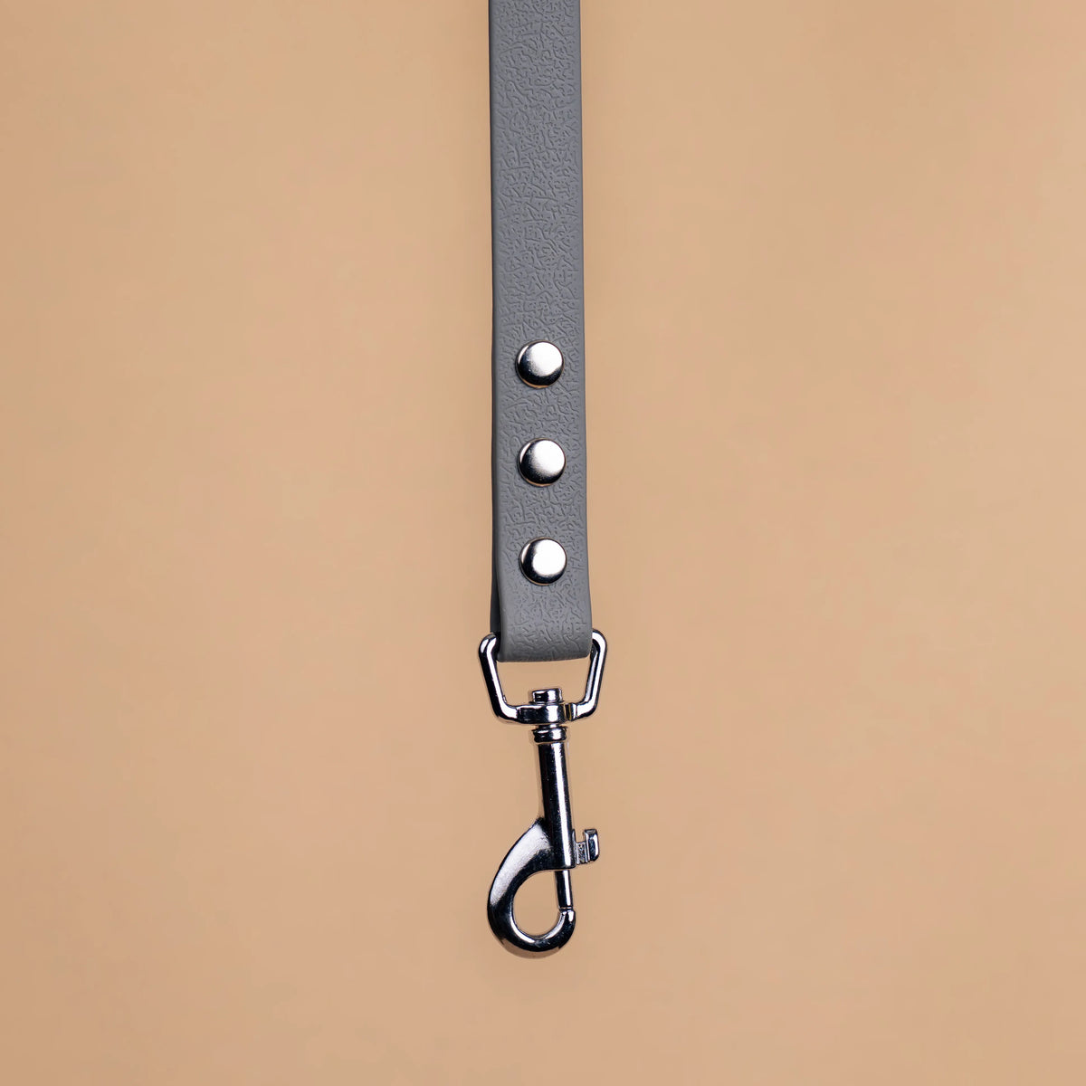 Zoom sur l'attache de la laisse simple pour chien en sangle enduite matière similaire au biothane gris