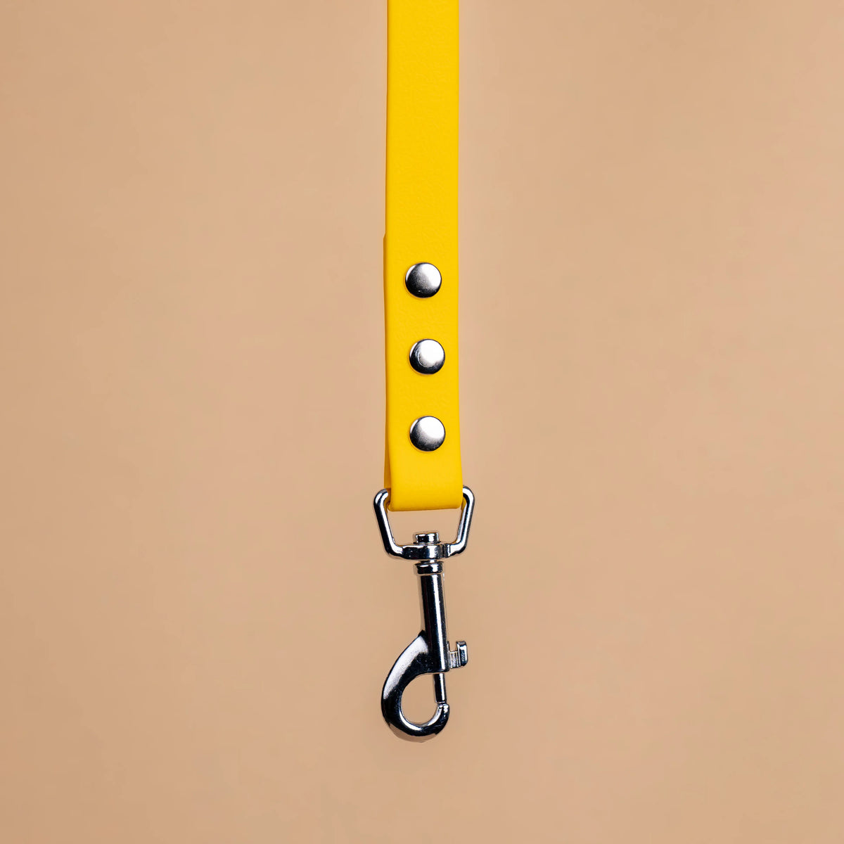Zoom sur l'attache de la laisse simple pour chien en sangle enduite matière similaire au biothane jaune