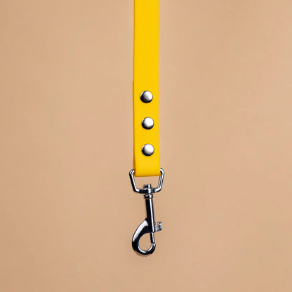Zoom sur l'attache de la laisse simple pour chien en sangle enduite matière similaire au biothane jaune