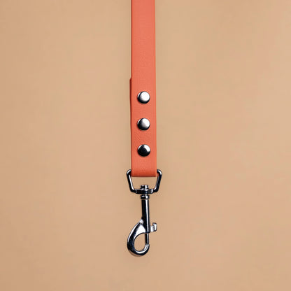 Zoom sur l'attache de la laisse simple pour chien en sangle enduite matière similaire au biothane orange terracotta
