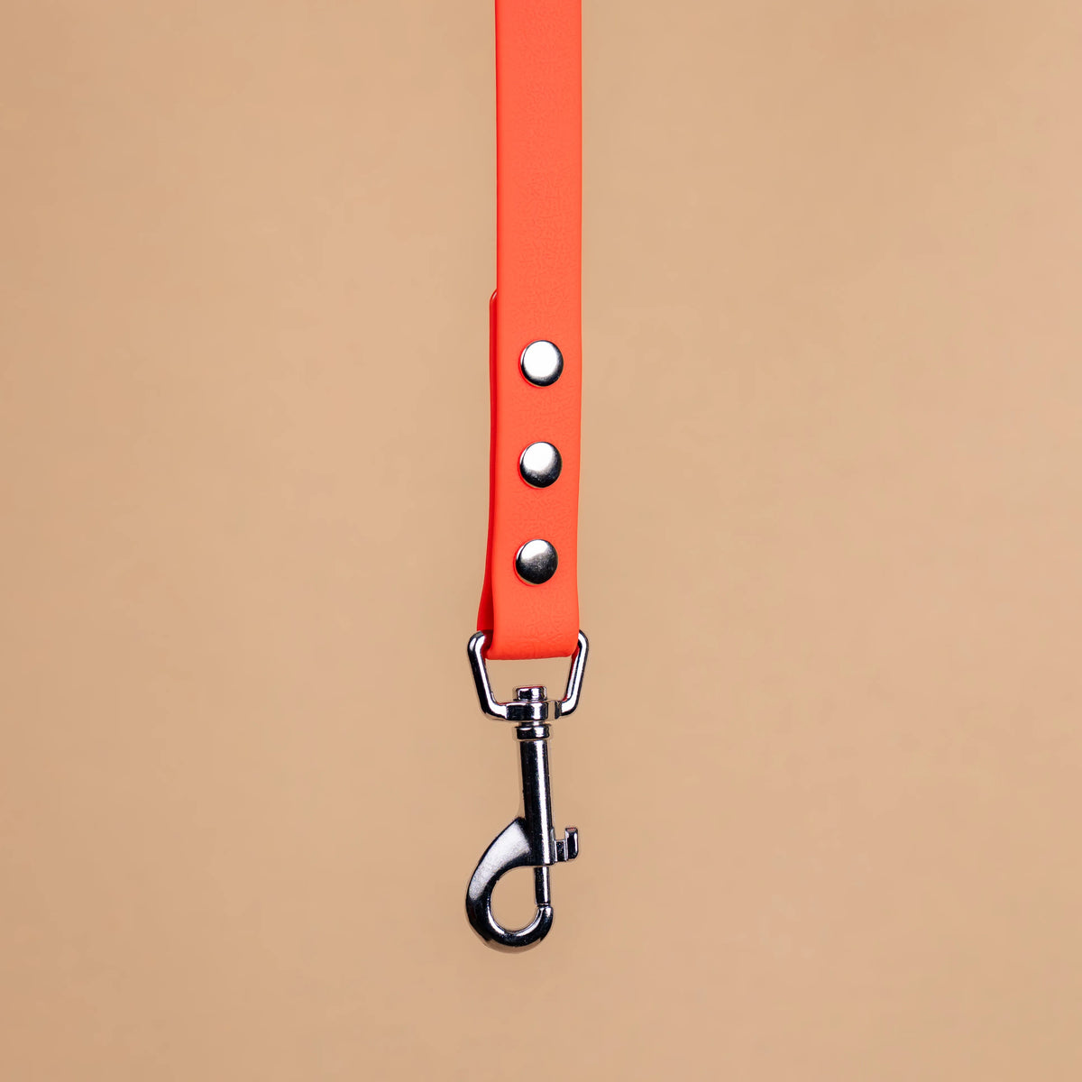 Zoom sur l'attache de la laisse simple pour chien en sangle enduite matière similaire au biothane orange