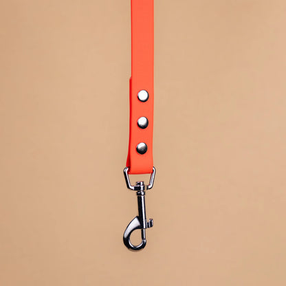 Zoom sur l'attache de la laisse simple pour chien en sangle enduite matière similaire au biothane orange