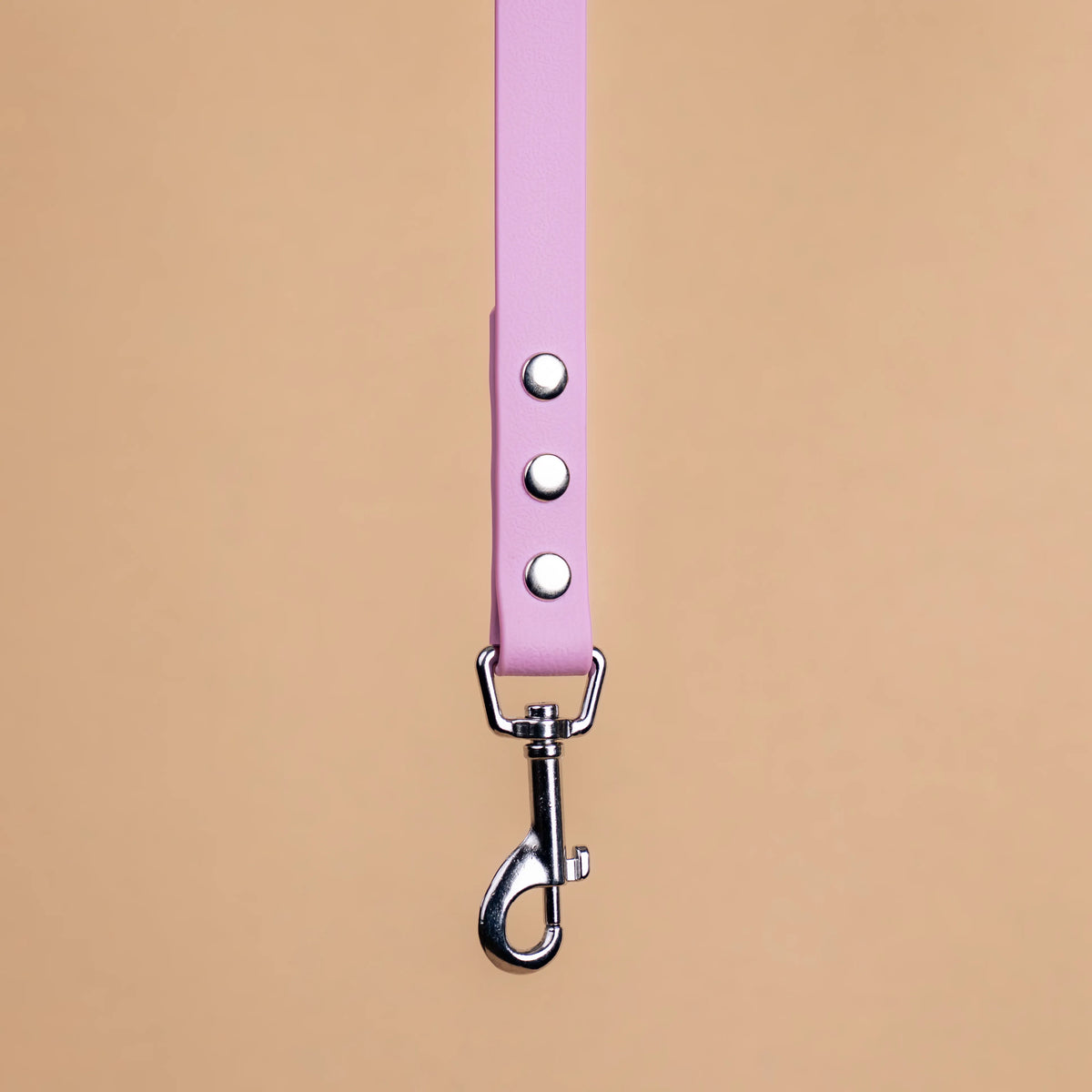 Zoom sur l'attache de la laisse simple pour chien en sangle enduite matière similaire au biothane rose lavande