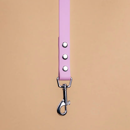 Zoom sur l'attache de la laisse simple pour chien en sangle enduite matière similaire au biothane rose lavande