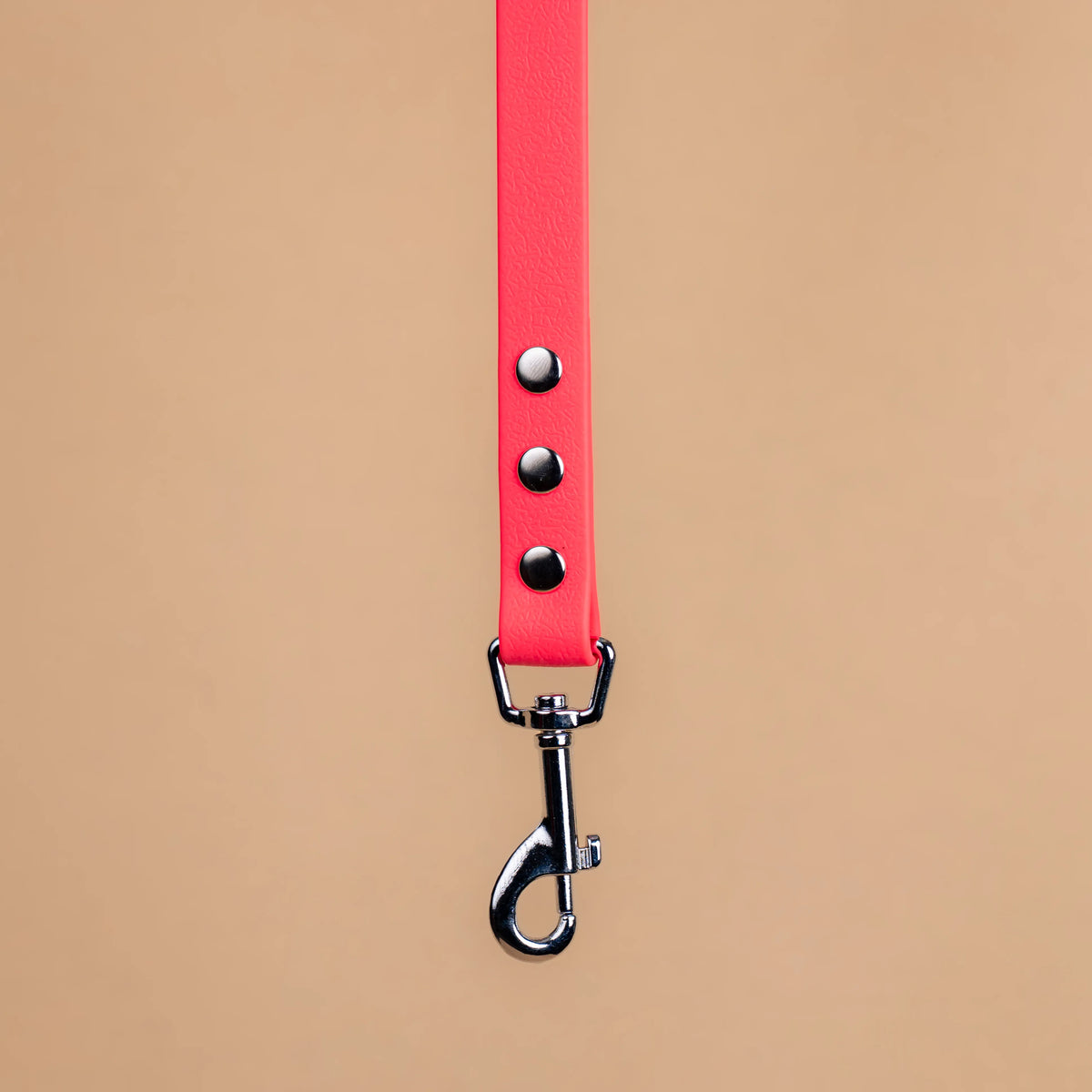 Zoom sur l'attache de la laisse simple pour chien en sangle enduite matière similaire au biothane rose