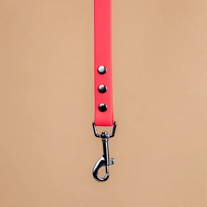 Zoom sur l'attache de la laisse simple pour chien en sangle enduite matière similaire au biothane rose