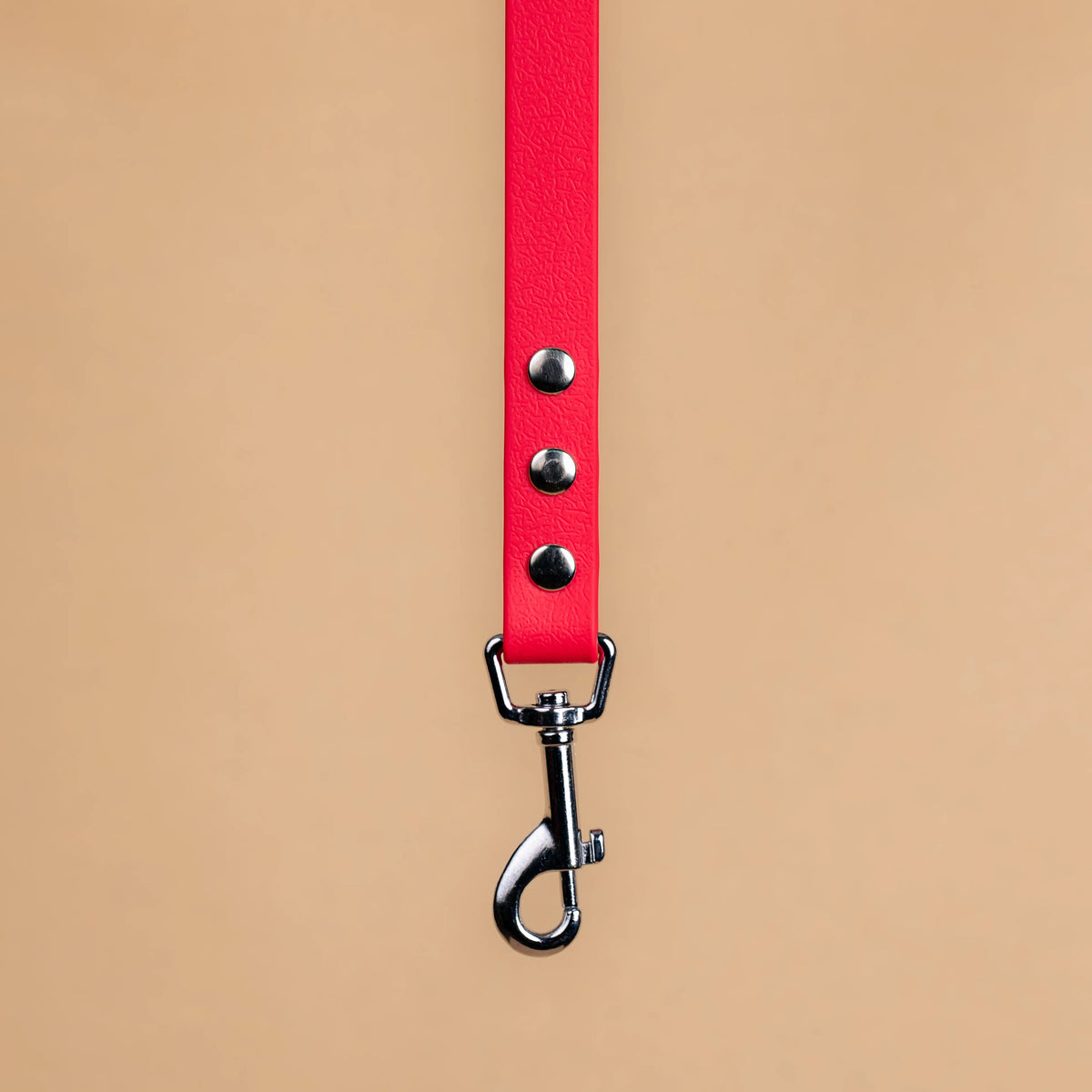Zoom sur l'attache de la laisse simple pour chien en sangle enduite matière similaire au biothane rouge magenta