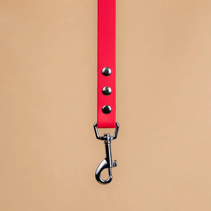 Zoom sur l'attache de la laisse simple pour chien en sangle enduite matière similaire au biothane rouge magenta