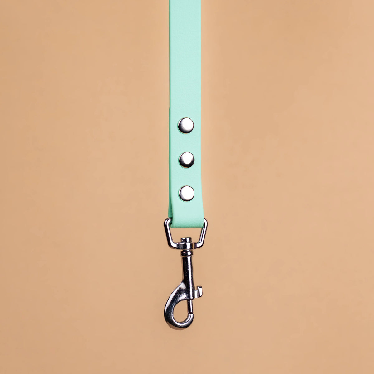 Zoom sur l'attache de la laisse simple pour chien en sangle enduite matière similaire au biothane vert caraïbe