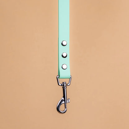 Zoom sur l'attache de la laisse simple pour chien en sangle enduite matière similaire au biothane vert caraïbe