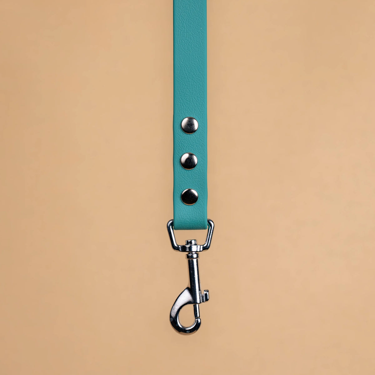 Zoom sur l'attache de la laisse simple pour chien en sangle enduite matière similaire au biothane vert chasseur
