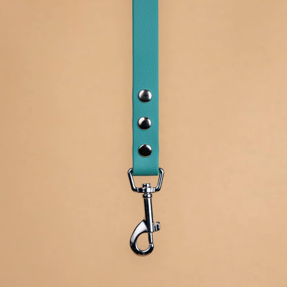 Zoom sur l'attache de la laisse simple pour chien en sangle enduite matière similaire au biothane vert chasseur