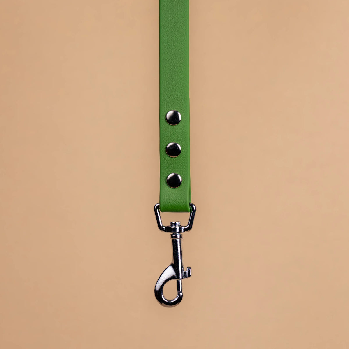 Zoom sur l'attache de la laisse simple pour chien en sangle enduite matière similaire au biothane vert olive